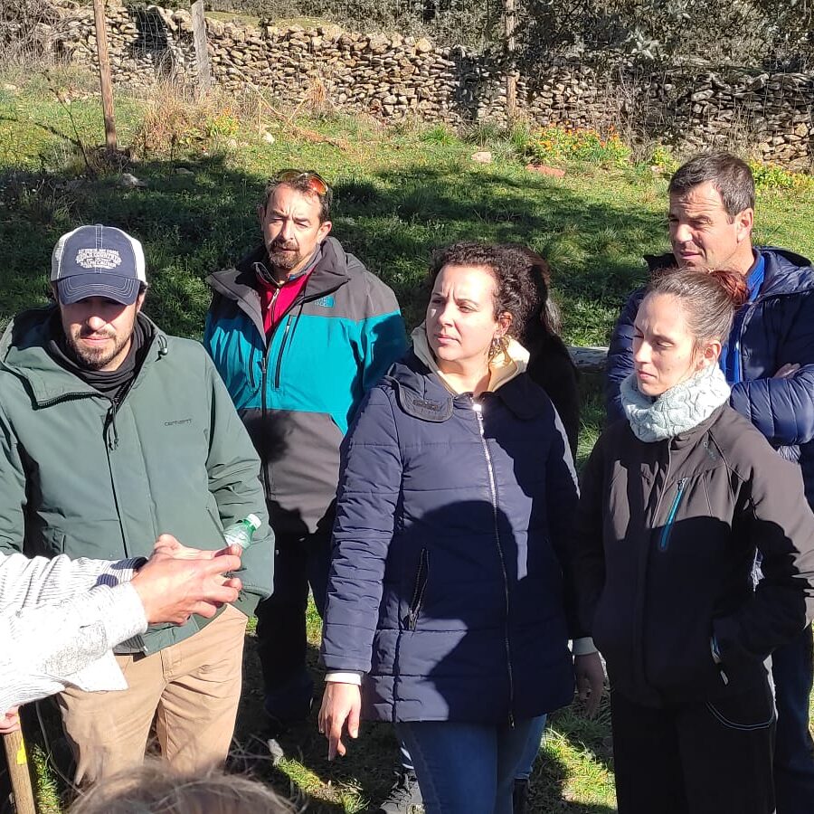 Eventos de empresa en la Sierra de Madrid